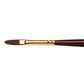 Winsor Newton: Galeria Long Handle  Filbert 02