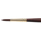 Winsor Newton: Galeria Short Handle Round 06