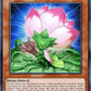 (152) YuGiOh TCG MP25: 2025 Mega-Pack Tin Single: Samsara D Lotus  Ultra Rare