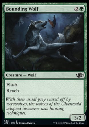 (633) Magic The Gathering Jumpstart 2022 Single: Bounding Wolf  Common