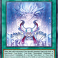 (064) YuGiOh TCG DOOD: Doom of Dimensions Single: Draco Awakening (V.2 - Starlight Rare)  Starlight Rare