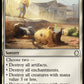 (684) Magic The Gathering Universes Beyond: Fallout: Extras Single: Austere Command (V.2)  Holo Rare