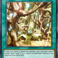 (209) YuGiOh TCG RA03: Quarter Century Bonanza Single: Secret Village of the Spellcasters (V.2 - Quarter Century Secret Rare)  Quarter Century Secret Rare