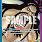 (061) One Piece TCG OP01: Romance Dawn Single: Kaido (OP01-061) (V.2)  Alternate Art