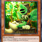 (172) YuGiOh TCG DB2: Dark Beginning 2 Single: Woodland Sprite  Common