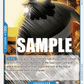 (057) One Piece TCG OP02: Paramount War Single: Bartholomew Kuma (OP02-057)  Uncommon