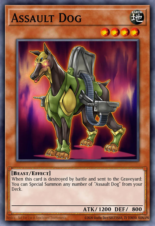 (035) YuGiOh TCG DLCS: Dragons of Legend: The Complete Series Single: Assault Dog  Common