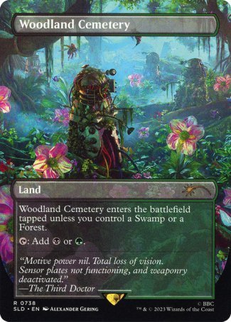 (738) Magic The Gathering Secret Lair Drop Series Single: Woodland Cemetery  Rare