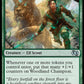 (741) Magic The Gathering Foundations Jumpstart Single: Woodland Champion  Uncommon