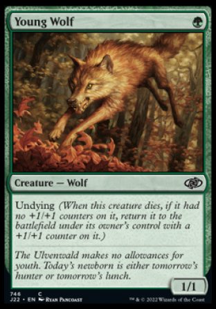(746) Magic The Gathering Jumpstart 2022 Single: Young Wolf  Common