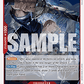 (005) One Piece TCG OP09: Emperors in the New World Single: Silvers Rayleigh (OP09-005)  Rare