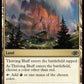 (822) Magic The Gathering Jumpstart 2022 Single: Thriving Bluff  Common