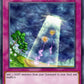 (103) YuGiOh TCG DCR: Dark Crisis Single: Ray of Hope (V.1 - Common)  Common