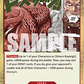(018) One Piece TCG OP12: Legacy of the Master Single: Color of the Supreme King Haki (OP12-018)  Rare