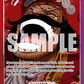 (003) One Piece TCG OP13: Carrying on his Will Single: Gol.D.Roger (OP13-003) (V.2)  Alternate Art