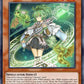 (018) YuGiOh TCG RA01: 25th Anniversary Rarity Collection Single: Wynn the Wind Channeler (V.6 - Collectors Rare)  Collectors Rare