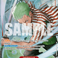 (015) One Piece TCG The Azure Sea's Seven Single: Roronoa Zoro (OP14-015) (V.2)  Alternate Art