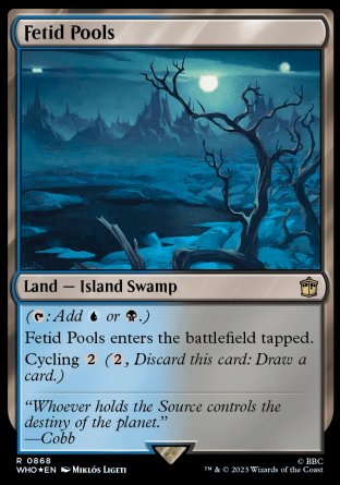 (868) Magic The Gathering Universes Beyond: Doctor Who: Extras Single: Fetid Pools (V.2)  Rare