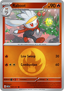 (037/217) Pokemon TCG Ascended Heroes: Additionals Single: Raboot   Common (Energy Symbol Reverse Holo)