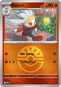 (037/217) Pokemon TCG Ascended Heroes: Additionals Single: Raboot   Common (Ball Reverse Holo)