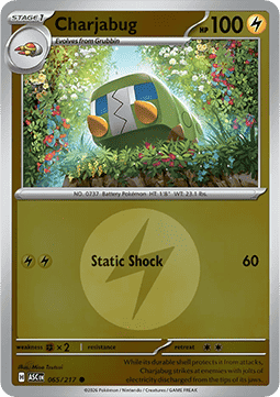 (065/217) Pokemon TCG Ascended Heroes: Additionals Single: Charjabug   Common (Energy Symbol Reverse Holo)