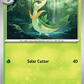 (005/088) Pokemon TCG Perfect Order Single: Servine   Common