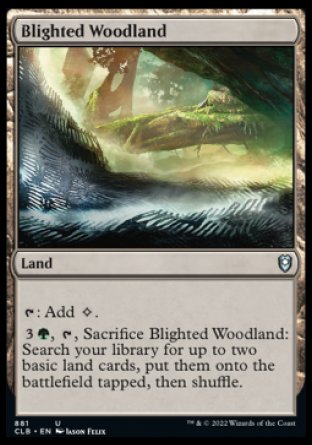 (881) Magic The Gathering Commander Legends: Battle for Baldur's Gate: Extras Single: Blighted Woodland  Uncommon