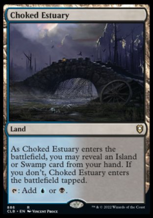 (886) Magic The Gathering Commander Legends: Battle for Baldur's Gate: Extras Single: Choked Estuary  Rare