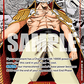 (005) One Piece TCG OP17: The World’s Strongest Warriors Single: Edward.Newgate (OP17-005) (V.3)  Manga Rare