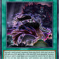 (DUAD062) YuGiOh TCG Duelist’s Advance Single: The Monarchs Revolt  Super Rare