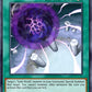 (250) YuGiOh TCG LCJW: Legendary Collection 4: Mega Pack Single: Gateway to Dark World  Secret Rare