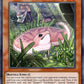 (220) YuGiOh TCG MP19: 2019 Gold Sarcophagus Tin Mega Pack Single: Danger!? Tsuchinoko?  Ultra Rare