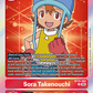 (082) Digimon TCG Exceed Apocalypse Single: Sora Takenouchi (BT15-082) (V.1)  Rare