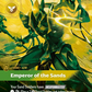 (247/221) Riftbound TCG Spiritforged Single: Azir, Emperor of the Sands (V.2 - Showcase) Holo Showcase