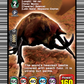 (EX04) Cardfight Vanguard Flight of Chakrabarthi Single: Elephant Beetle [D-Format]  Special EX