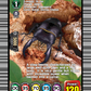(EX08) Cardfight Vanguard Flight of Chakrabarthi Single: Flat Stag-beetle [D-Format]  Special EX
