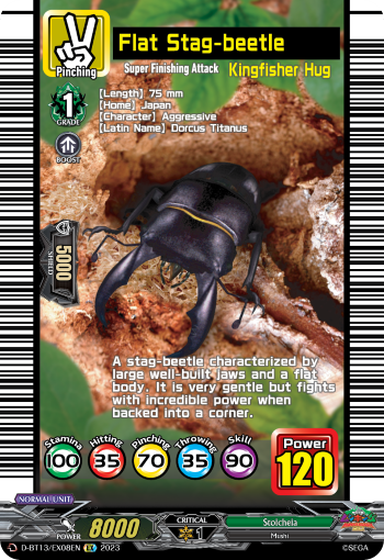 (EX08) Cardfight Vanguard Flight of Chakrabarthi Single: Flat Stag-beetle [D-Format]  Special EX