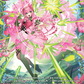 (FR40) Cardfight Vanguard Flight of Chakrabarthi Single: Believe in the Blooming Buds of Tomorrow [D-Format] (V.2 - Frame Rare)  Frame Rare