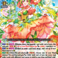(079) Cardfight Vanguard Triple Drive Booster Single: Pining Flower Maiden, Claudine [D-Format]  Double Rare