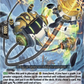 (088) Cardfight Vanguard Knights 0f Rebirth Single: Compile Excavator [D-Format]  Common