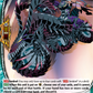 (058) Cardfight Vanguard Future Card Buddyfight Single: Street Racer, Eligos [D-Format] (V.1 - Rare)  Rare
