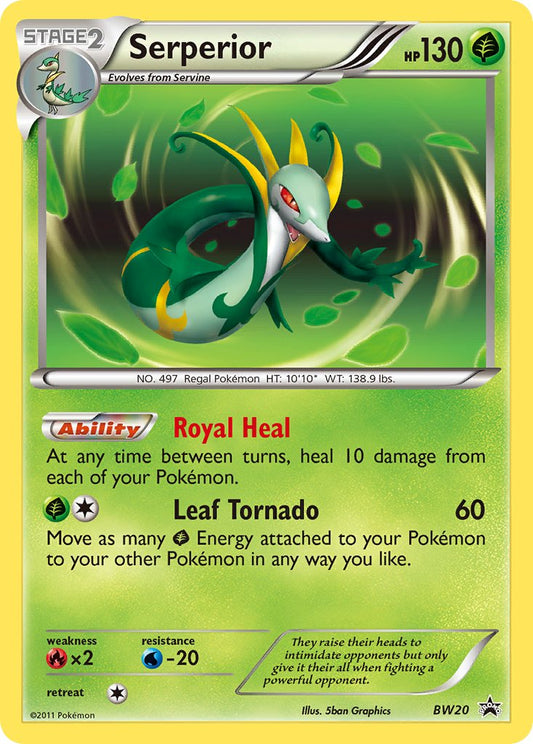 (020) Pokemon TCG BW Black Star Promos Single: Serperior   Promo