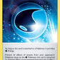 (165/185) Pokemon TCG Vivid Voltage Single: Wash [W] Energy  Uncommon