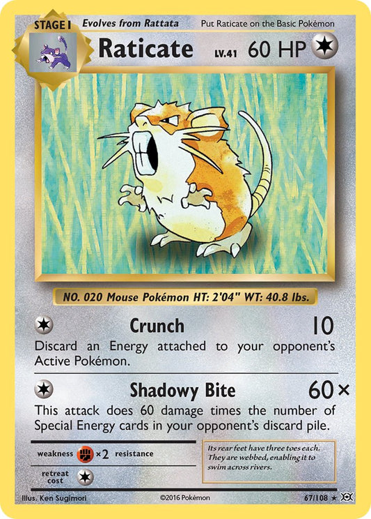 (067/108) Pokemon TCG Evolutions Single: Raticate  Reverse Holo Rare