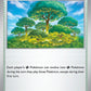 (117/MEG) Pokemon TCG Mega Evolution Single: Forest of Vitality  Uncommon