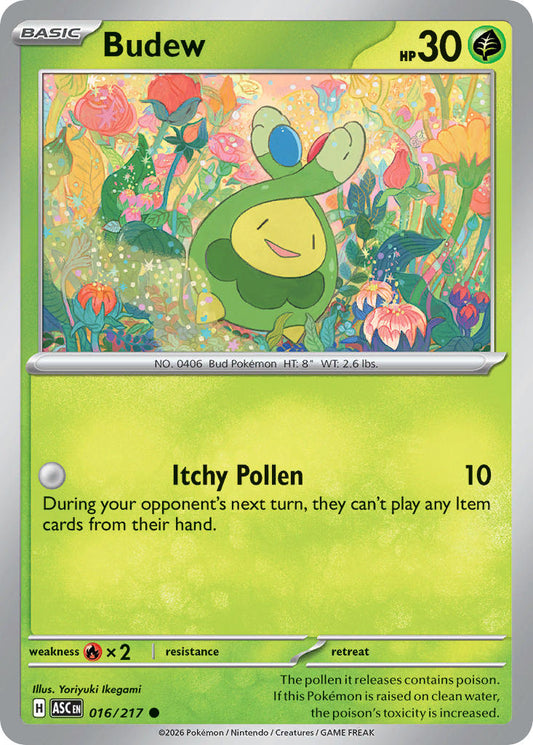 (016/217) Pokemon TCG Ascended Heroes Single: Budew   Common