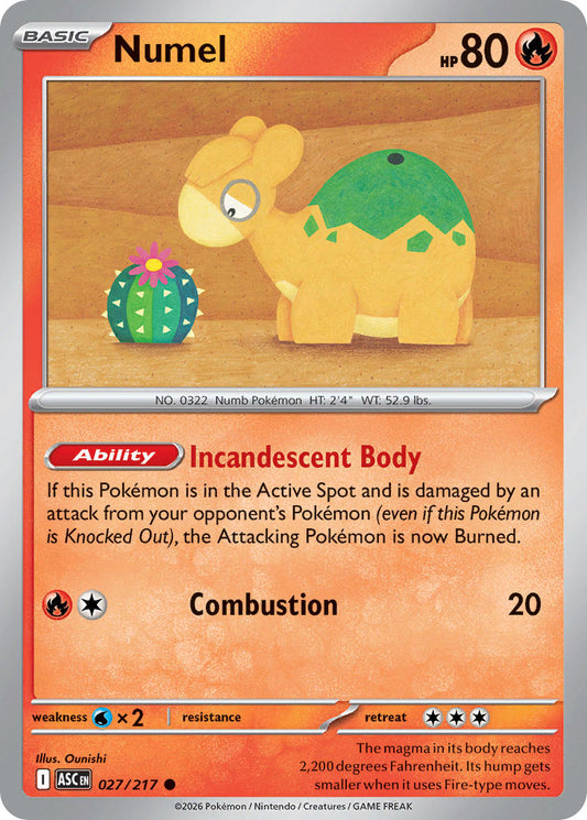 (027/217) Pokemon TCG Ascended Heroes Single: Numel   Common