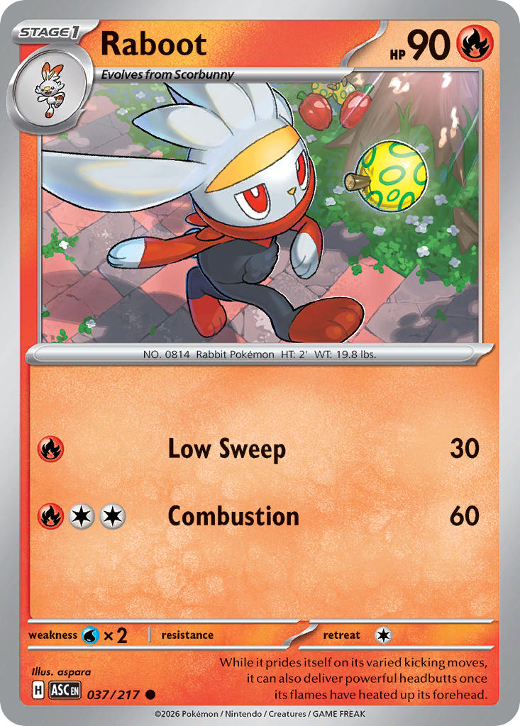 (037/217) Pokemon TCG Ascended Heroes Single: Raboot   Common