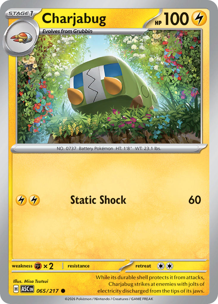 (065/217) Pokemon TCG Ascended Heroes Single: Charjabug   Common