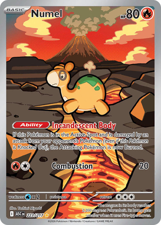 (223/217) Pokemon TCG Ascended Heroes Single: Numel   Illustration Rare